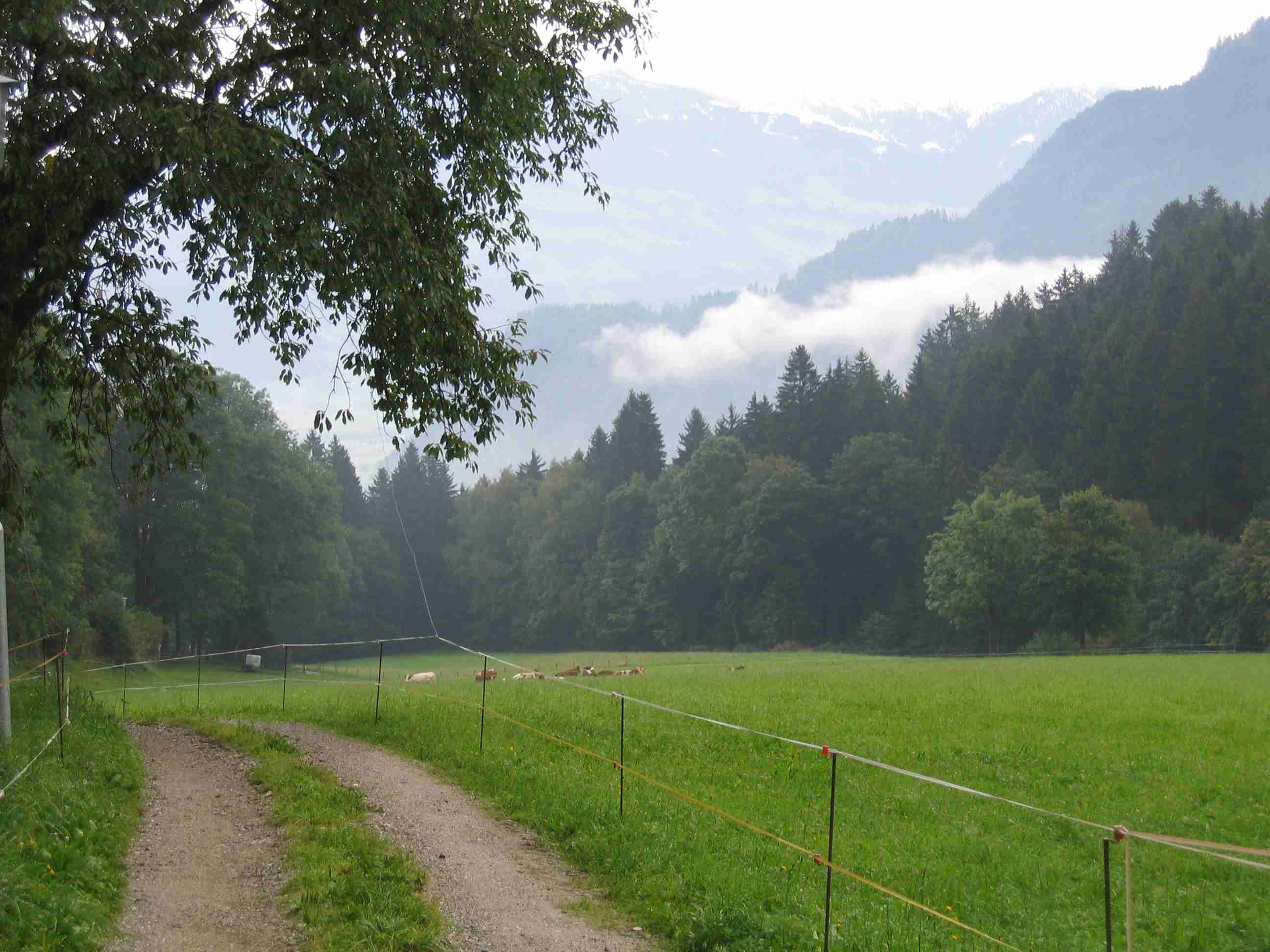 abfahrt nach jenbach