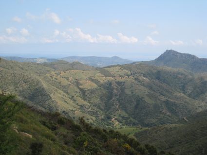 Monte Albo