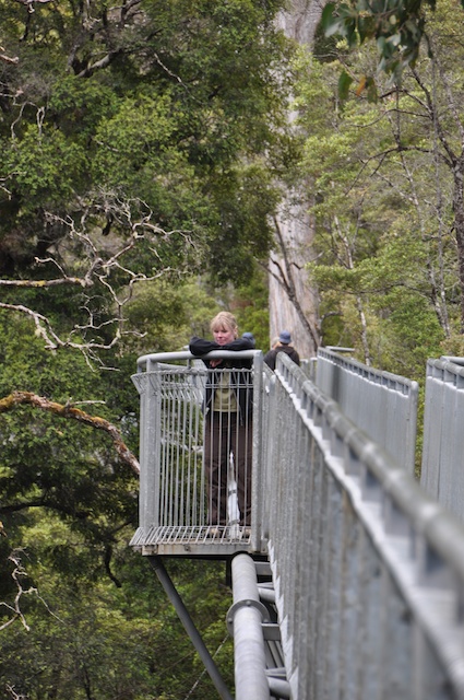 Tahune Airwalk