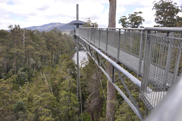 Tahune Airwalk